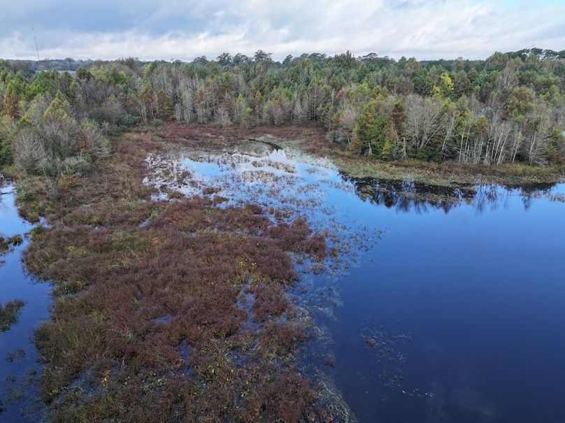 DJI_20251018095117_0125_D