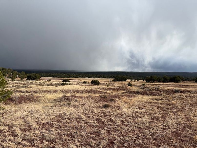 47_Pratt snow clouds