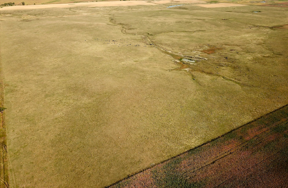 Screenshot 2026-02-02 at 2.35.23 PM