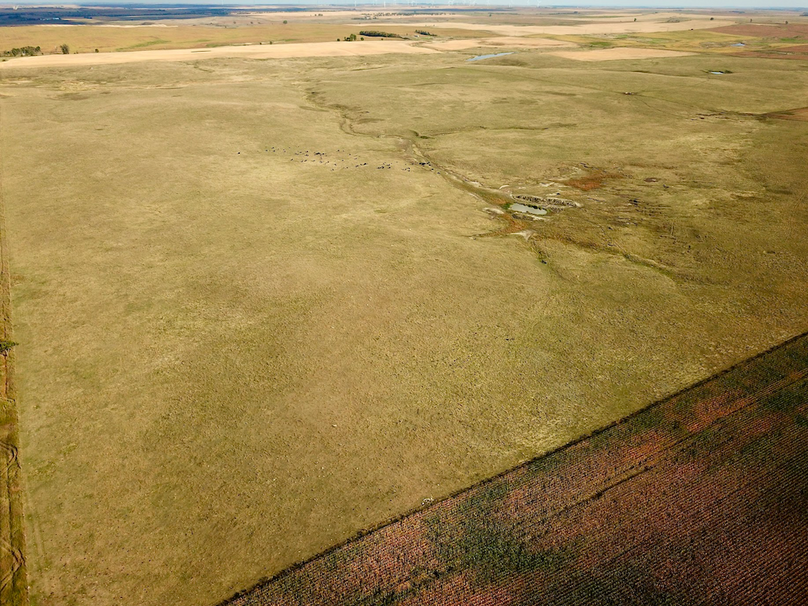 Screenshot 2026-02-02 at 2.35.23 PM