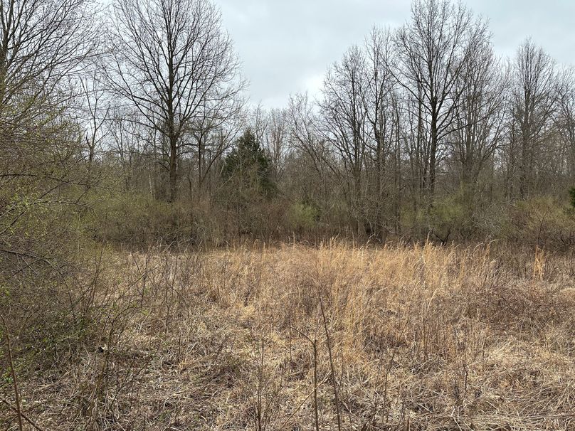 open fields in middle of property ready for food plots