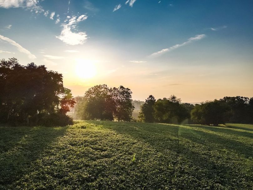 7 York 21.78 Krebs-04