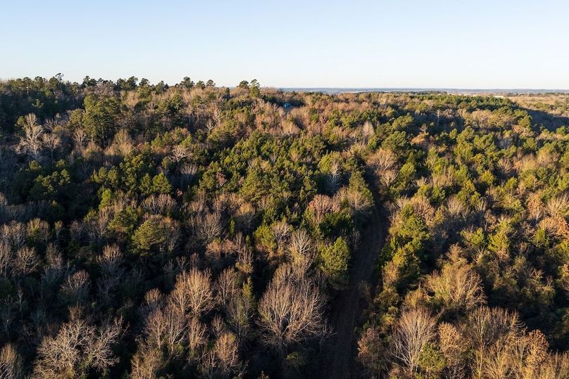 DJI_20260116075824_0033_D