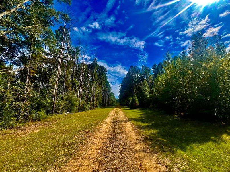 2579E7C5-6D9F-4D89-B14D-15EFE811D25F_1_201_a