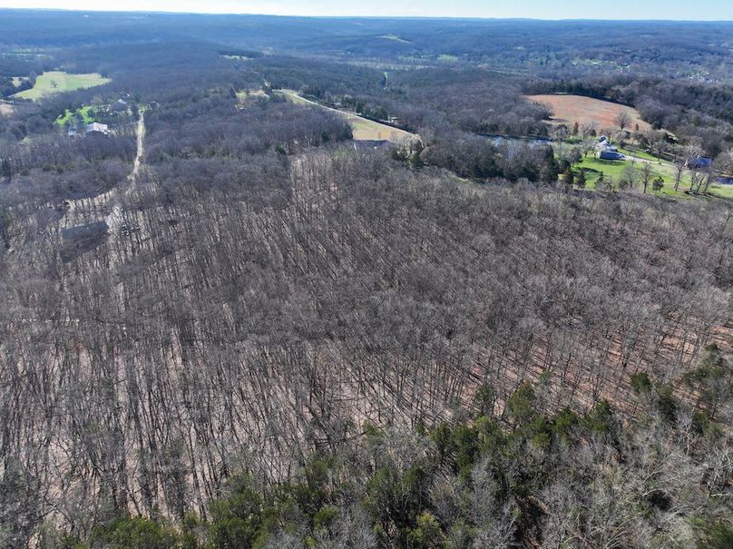 DJI_20260317092509_0954_D