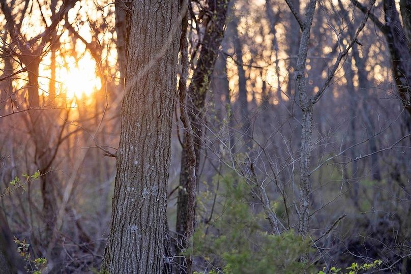 2 Copy of 4 CX9A0532