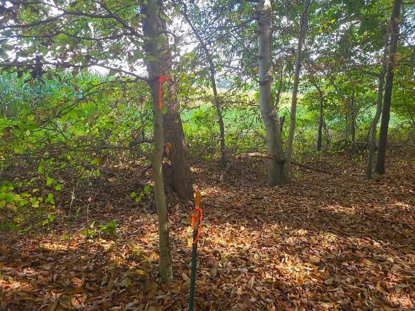 31.40ac_QAnnes_PIC_009