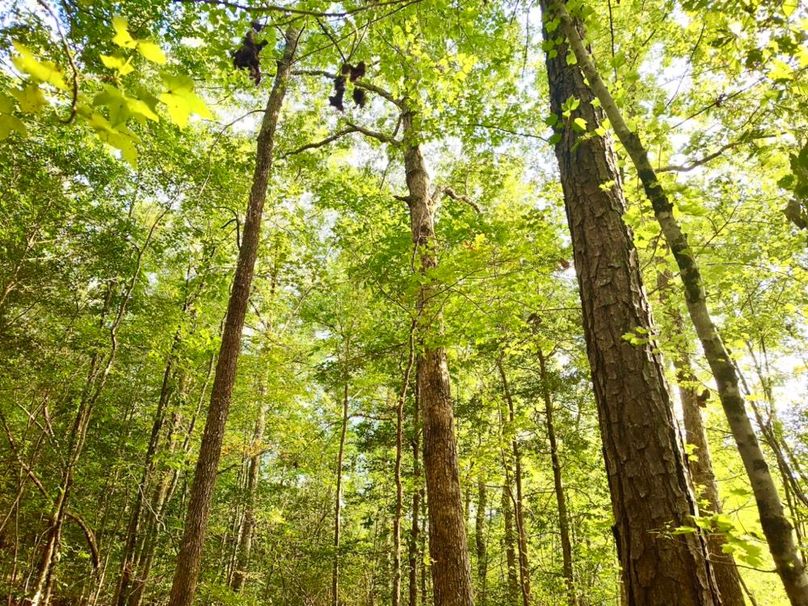 IMG_20250914_172435953_HDR