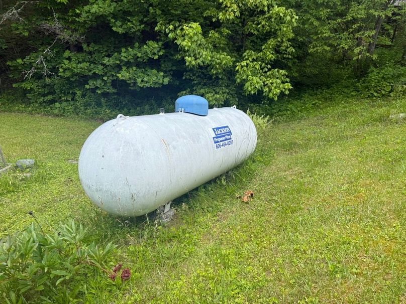 043 the propane tank that provides gas to the water heater, gas stove and inside wall heater-2
