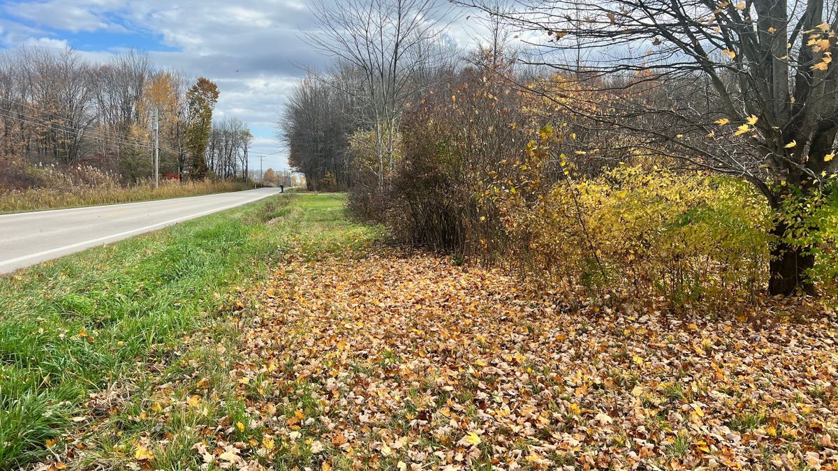 Great Small Property In NE Ohio Whitetail Properties