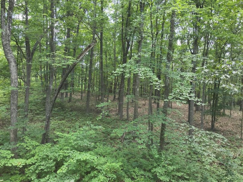 DJI_20240612145211_0012_V