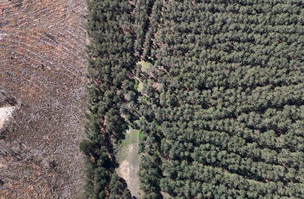 DJI_20260318002040_0126_D