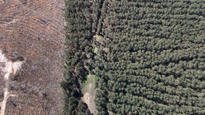 DJI_20260318002040_0126_D