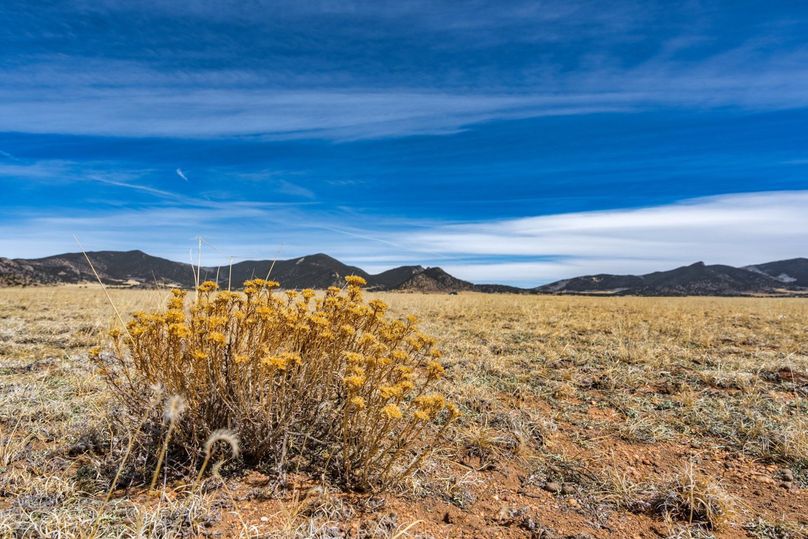 Park CO 5 MWV Jackson rd - 05 - 31.jpg