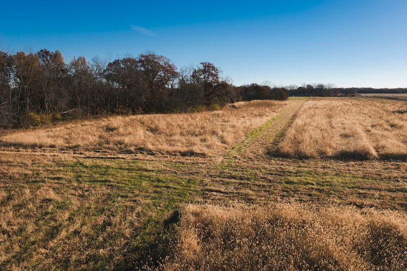 DJI_20251116083819_0123_D