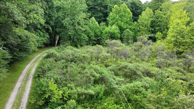 dji_fly_20240711_133238_0221_1720719606188_photo