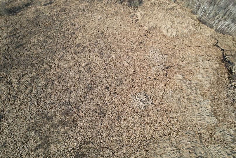 dji_fly_20260415_174642_177_1776293480992_photo