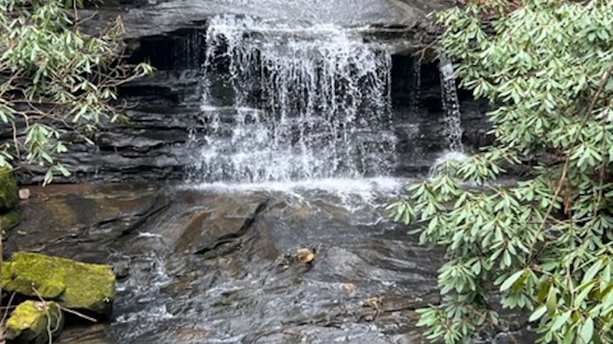 Mountain Tract That Looks And Feels Like A State Park In TN