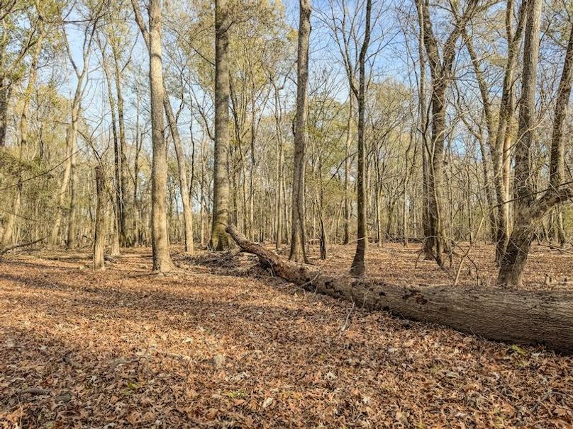 St. Francis 216.9 Calvin Parker Farms Profile -28