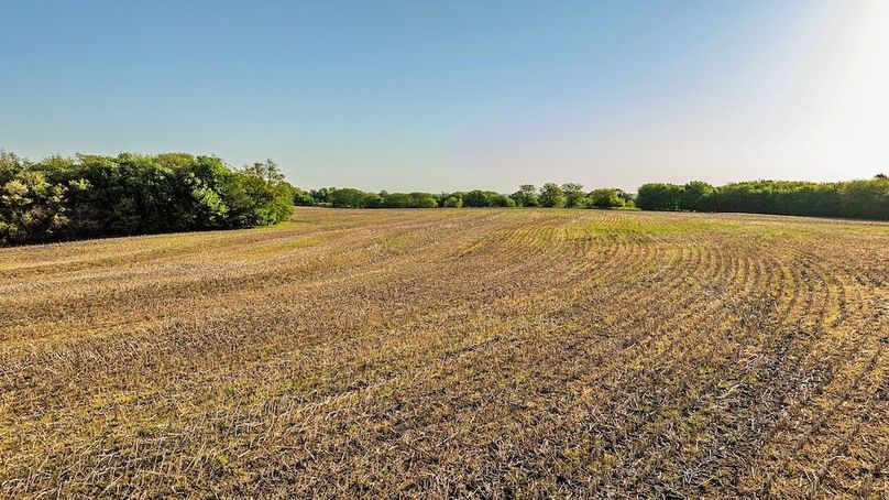 DJI_0100 (2)