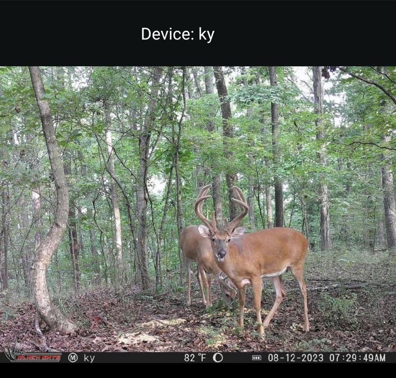 C7EAFC80-A824-4B50-922D-7EC3BDF58AA3