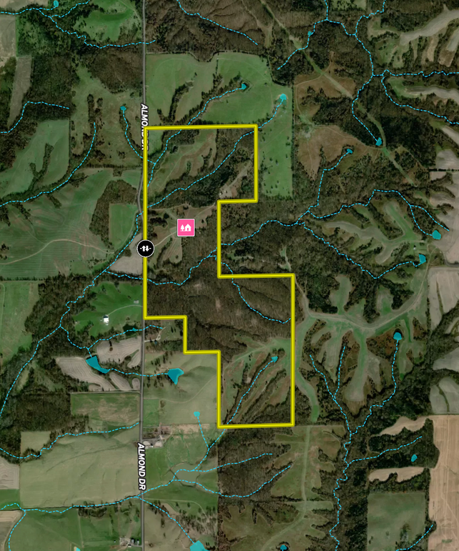 Screenshot 2023-12-18 at 1.33.59 PM