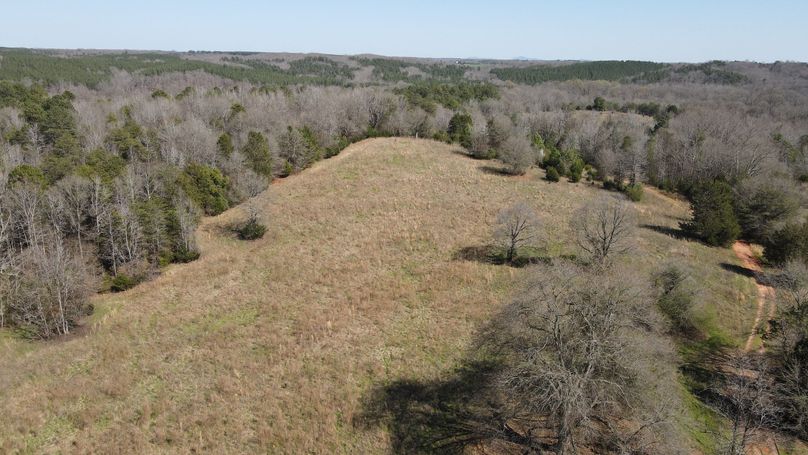 dji_fly_20230228_131950_118_1677608433793_photo