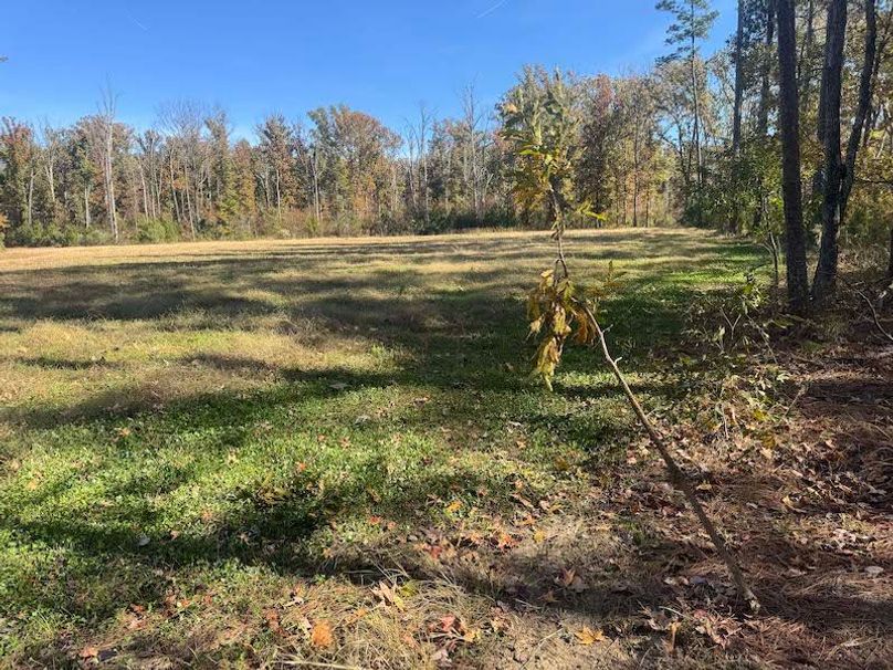 jeff 5020251111_0316