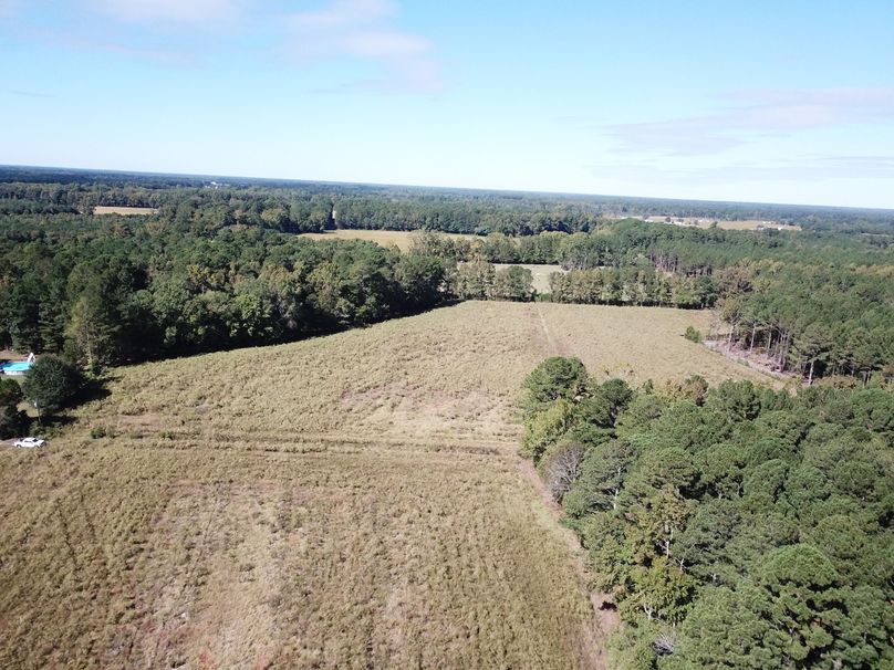 Copy of DJI_0006