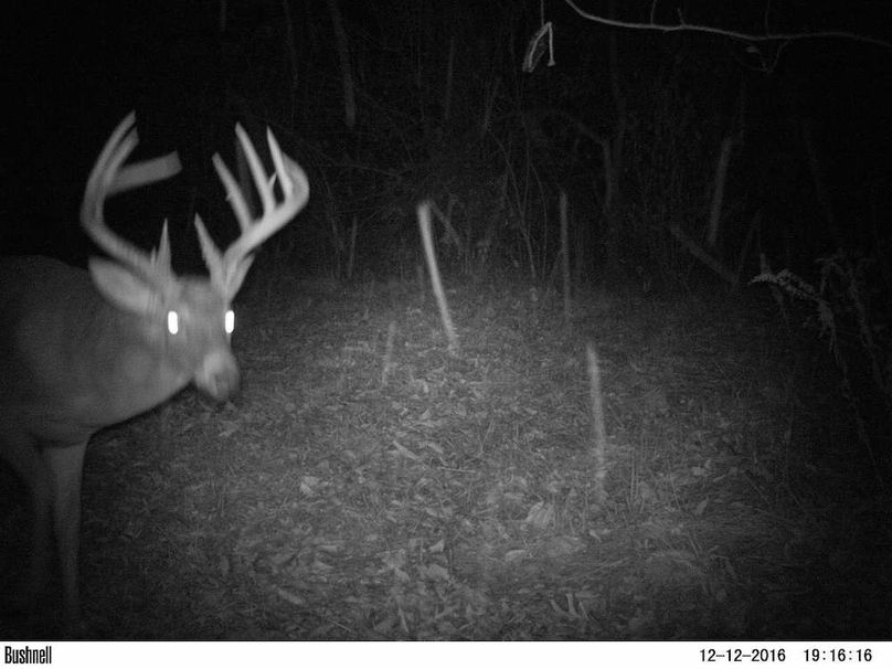 Copy of greene92 trail.21