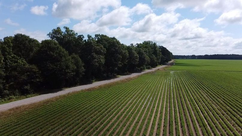 2024-06-01-10-28-21-958