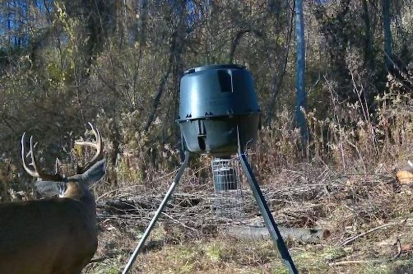 IMG_20250425_095008 (3)