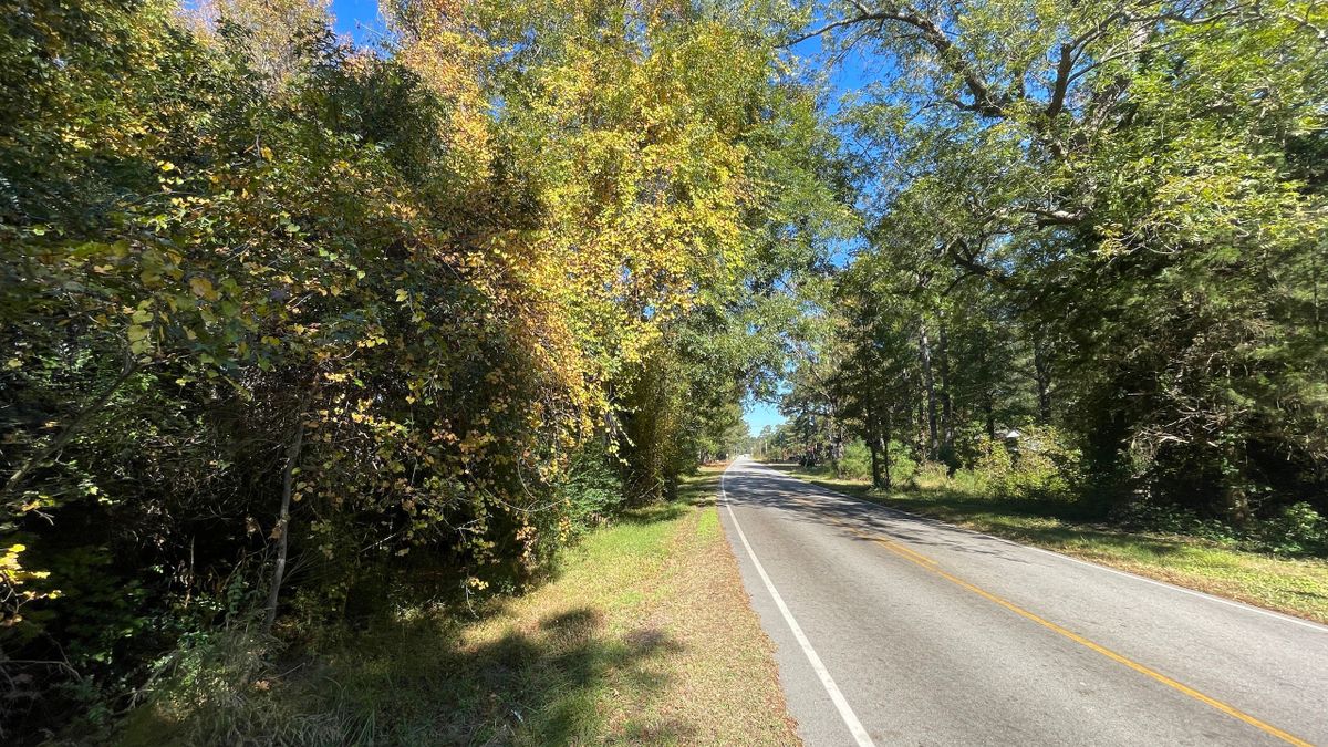 Lake Wilson Road Homesite With Acreage Whitetail Properties