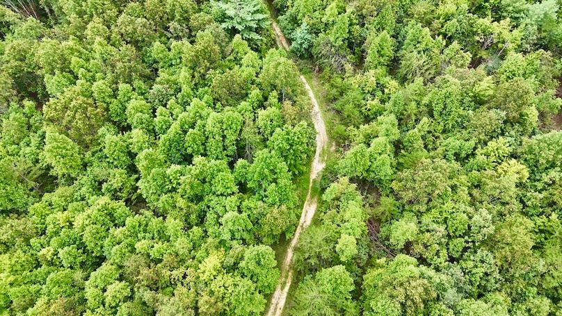 DJI_20250820163345_0060_D