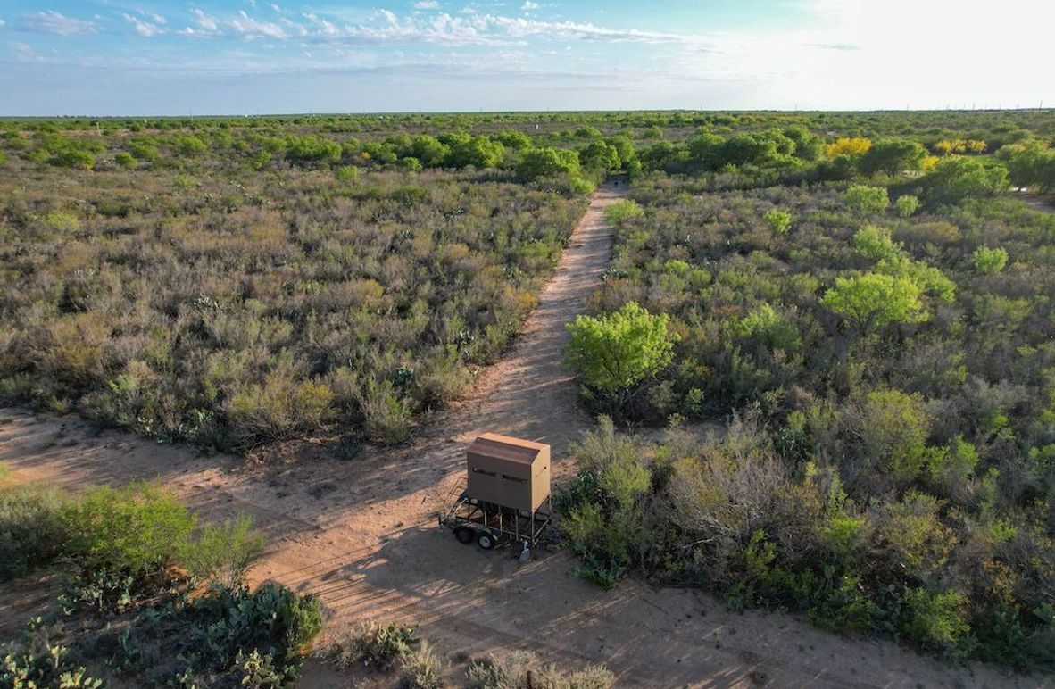DJI_0653