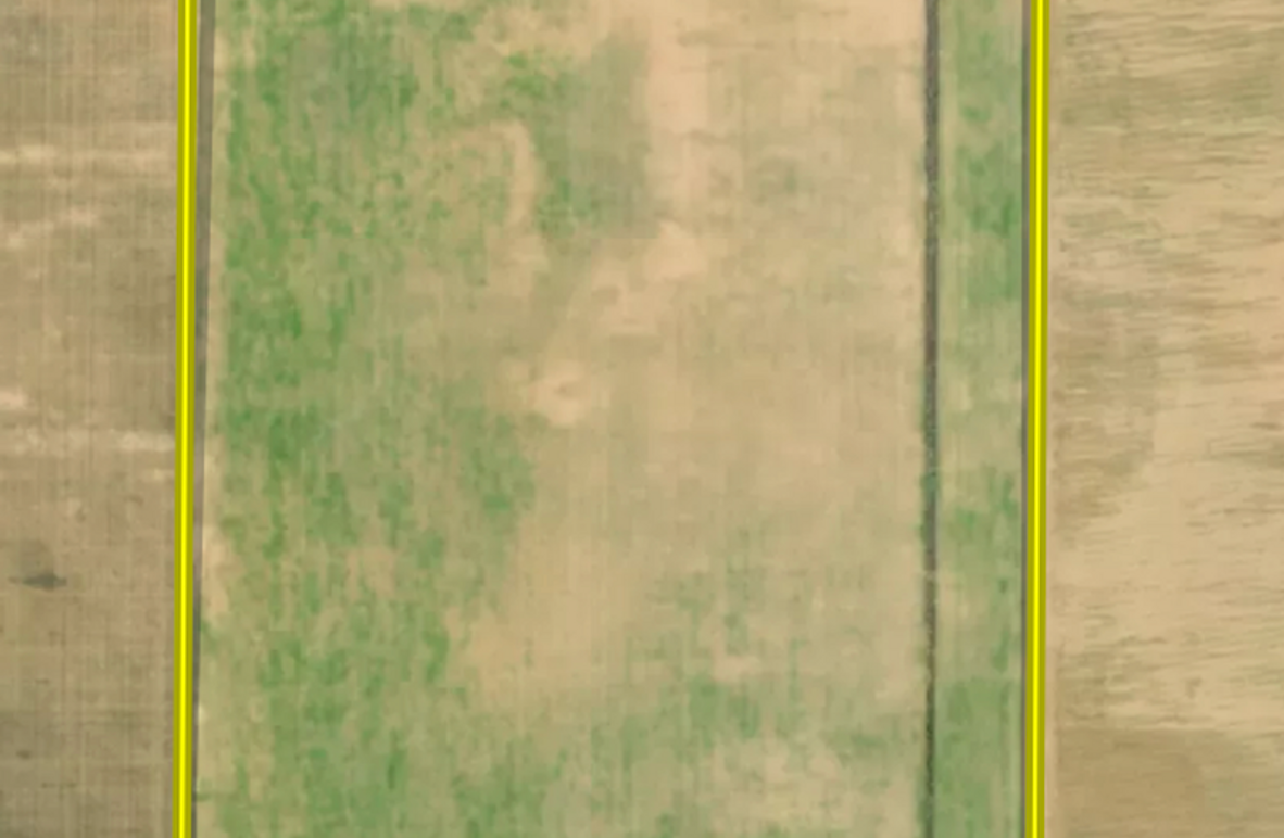 Screenshot 2025-11-12 at 10.04.21 AM