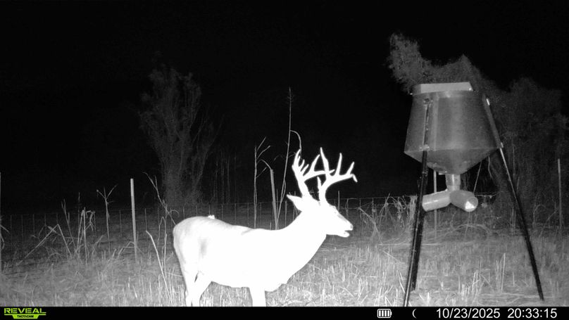 016578005692261-77-4-10232025203706-HD-SYFW00527