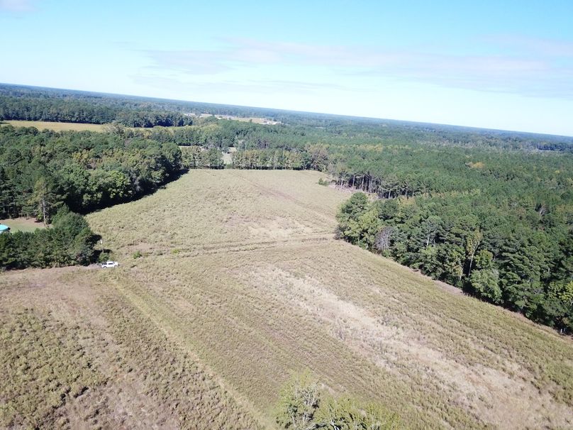 Copy of DJI_0004