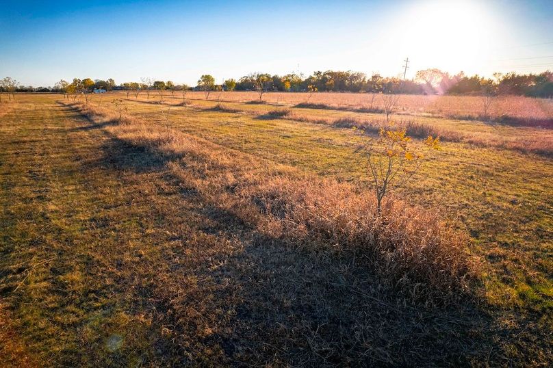 Collin 17 acres (7 of 21)