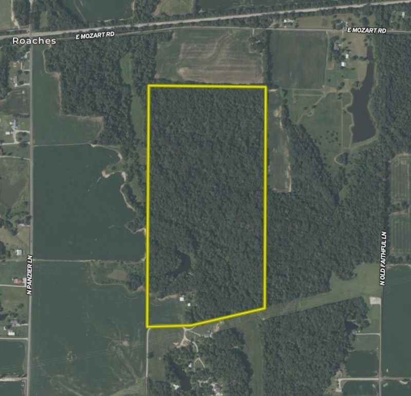 Screenshot 2026-04-02 105656