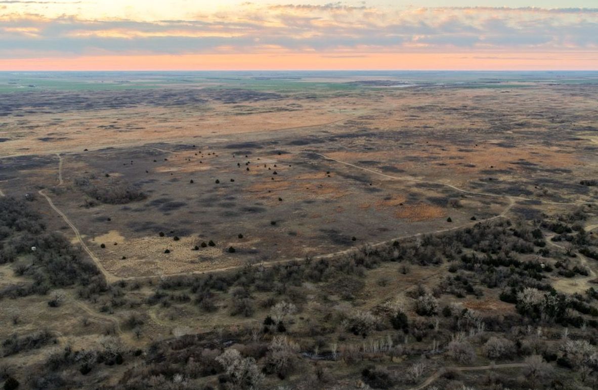 DJI_20260311080630_0499_D