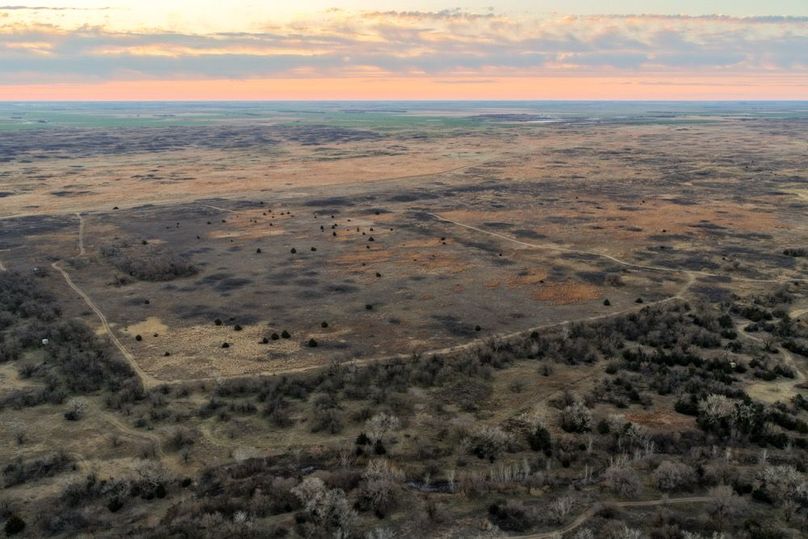 DJI_20260311080630_0499_D