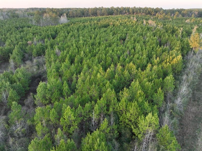 A4B2F444-3DBE-4131-B482-9843B4B77A80_1_105_c