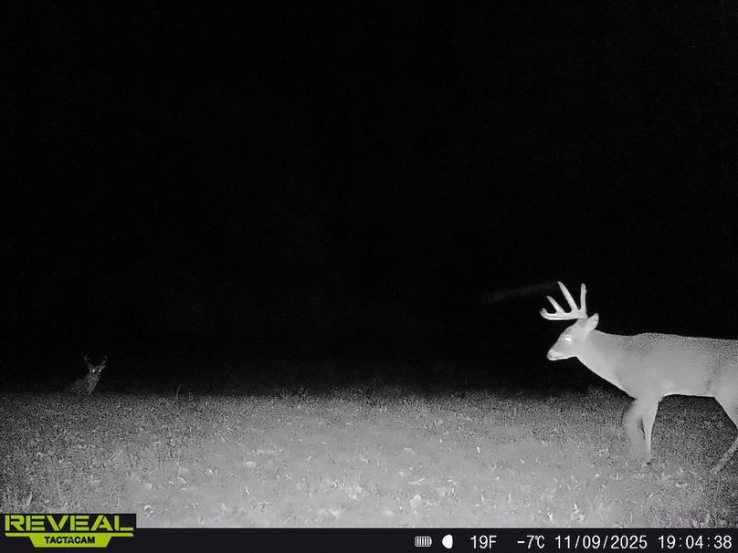 Copy of Trail photos.14