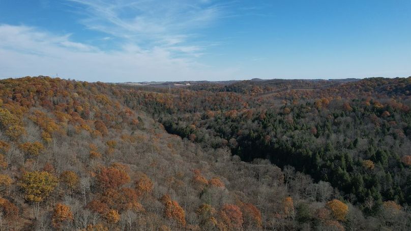 dji_fly_20251105_120148_881_1762380963239_photo