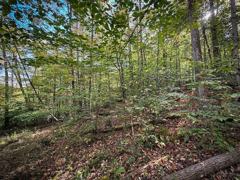 Tompkins NY 87 Allen Photos 32