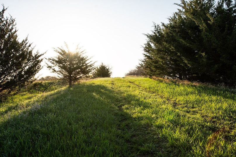 MONTGOMERY CO IA. 156.78_20