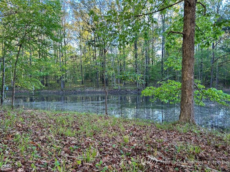 Hinds Co - 51 - Hughes-81