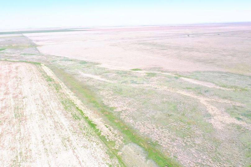 DJI_0669