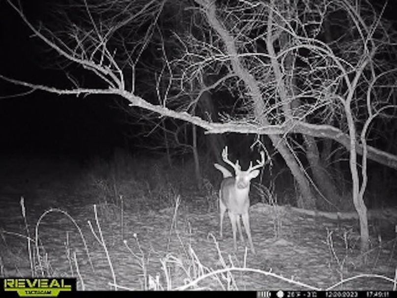 865509050044191-100-4-12282023174931-W1001173